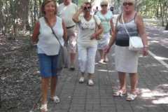 IMG-20200818-WA0004