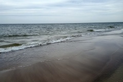 IMG20210604143911
